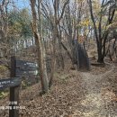 아랫배랭이 이미지