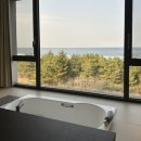 메이플비치 골프&리조트 | 강릉 [ 메이플비치 골프&amp;리조트 ] 통창 바다 오션뷰에 반해서 1박있으려다가 2박 머물고 온 찐 후기