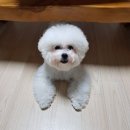 대망14세천 | 2018년 1~2월 대구일상