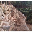 칠전농장 이미지