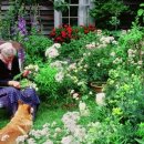 타샤의정원 이미지