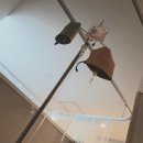 더기능가정의학과의원 이미지