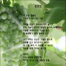 낙동정맥17차; 피나무재-대둔산-황장재 이미지