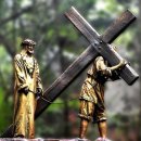 유다목장 이미지