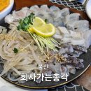 회사가는총각 이미지