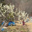 원대농장 | 6명이 5만원대로 배터지게 맛있는 돼지고기 먹을 수 있는 곳 | 여수 가성비 맛집 '갑이농장' 후기