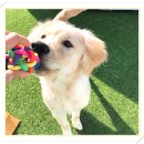 아이조아 요양보호소 경기광주 이미지