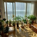 삼손 | 대전세종이사에서의 믿음직한 선택 삼손익스프레스 후기