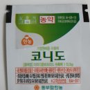 동부꽃농원 이미지