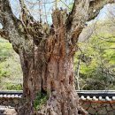 남원.구례 ,전주 기차여행 이미지