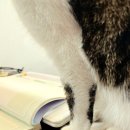 종달스테이 민박 이미지