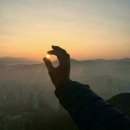 노세노세 이미지