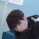 모노트리 이미지