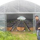 산천어양식장 Daum카페