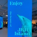 위드 더 독 이미지