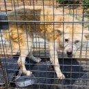 백봉2리마을회관 이미지