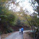 성남교육청 이미지