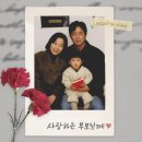 식전 | 결혼식 식전영상 셀프로 만들기 파스텔뮤비 셀프 식전영상 후기