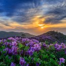 6월 2주 주간 주식시황 이미지