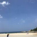 정원 퍼피 하우스 이미지