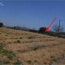 자연미곡정미소 이미지