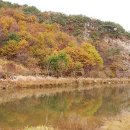 강촌팰리스 이미지