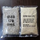 섬내음