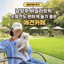남양주 바닐라브릭 후기｜소형견도 편하게 놀기 좋은 애견카페