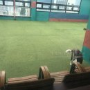 맨앤독 애견카페 이미지