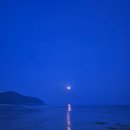 햇빛바다 관광펜션 | 2026.04.30~05.03 보령 햇빛바다관광펜션 캠핑장