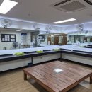 동탄4동어울림체육센터 | [시흥어울림국민체육센터 수영장] 수심, 수질, 채광 3박를 갖춘, 토요일 자유수영 후기