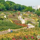 시민문화체육공원 산책로 이미지