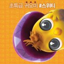마미버드 이미지