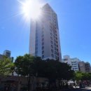 청솔청과 이미지