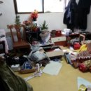 크린피아 이미지