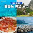 신비로운 지구 | 지구놀이터 울릉도 2박3일 여행 코스 첫째날