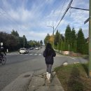 여정 | [캐나다 신혼여행] 밴쿠버 UBC 러닝·스탠리파크·선셋비치 노을·공항 노숙까지 마지막 여정 후기