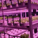 팜솔루션 이미지