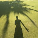 영빈약국 이미지