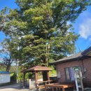 후촌마을 이미지