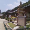 금화고속관광 이미지