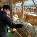 향호목장 이미지