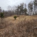 귀죽 | 옥천 퇴미산성터 (沃川 퇴미山城址)