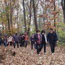 산과강 이미지