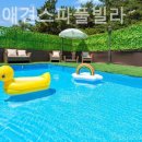 위드독애견스파풀빌라 이미지