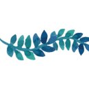 닥터파인드 이미지