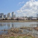 운천저수지 이미지