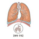 폐걸절이란? 이미지