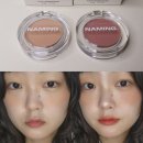 불타는토스트 | 차분한 깊이감의 굽굽 블러셔! 네이밍 플러피 파우더 블러쉬 토스트&amp;헤이즈