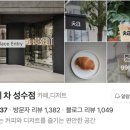 노우즈고양 이미지